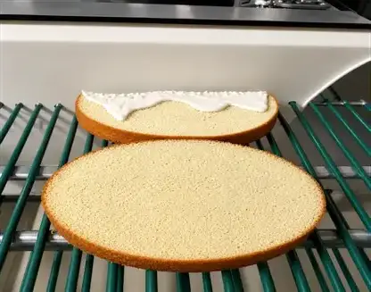 Pastel humedecido en rejilla